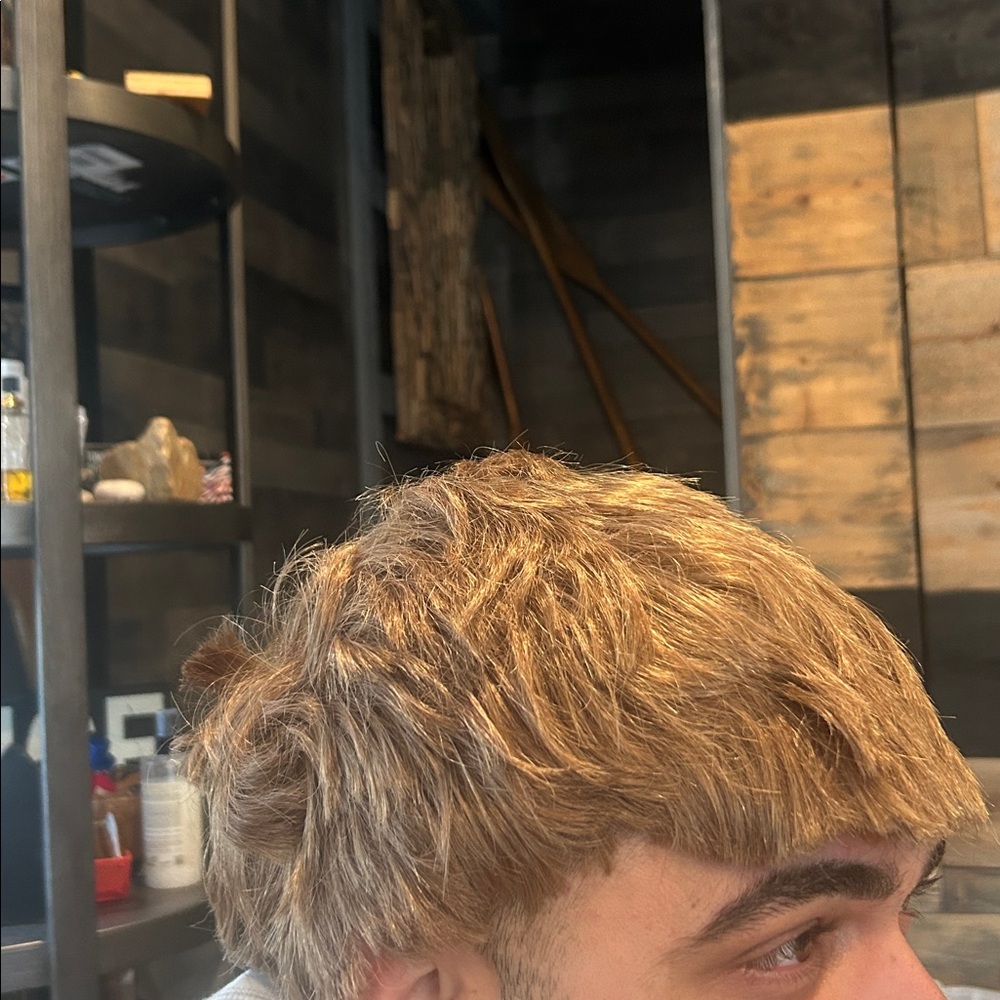 Non Signe‎ 100% Synthetic Short Dirty Blonde Wig